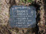 image of grave number 783021